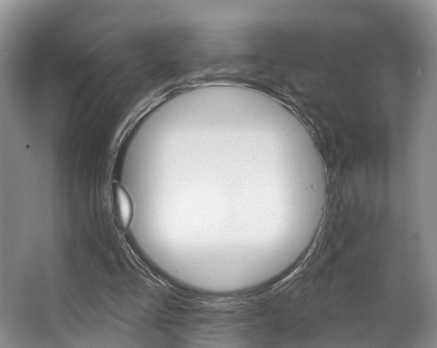 X0000063530293200601201159
