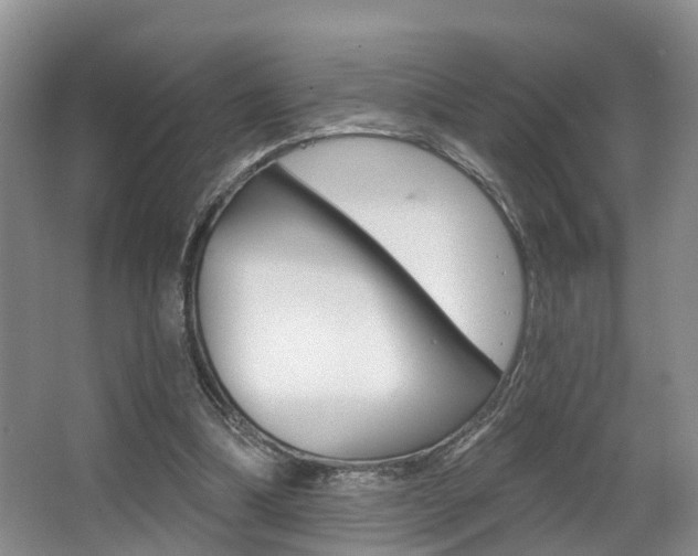X0000063530298200601201159