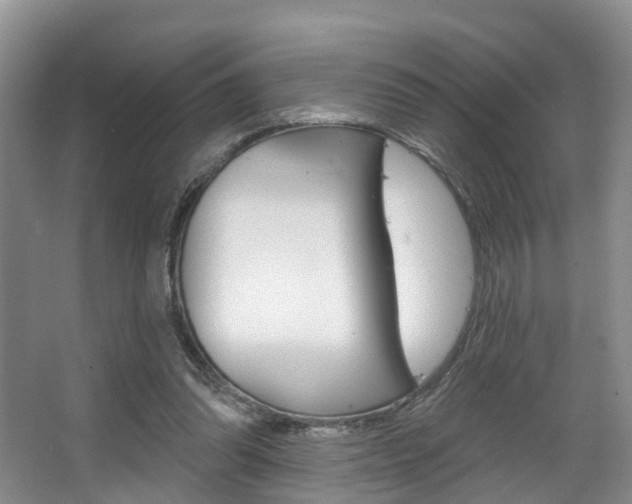 X0000063530302200601201159