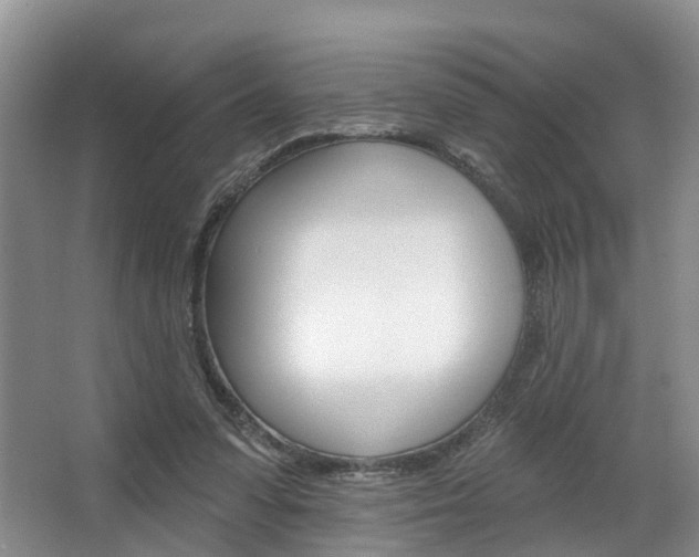 X0000063530303200601201159