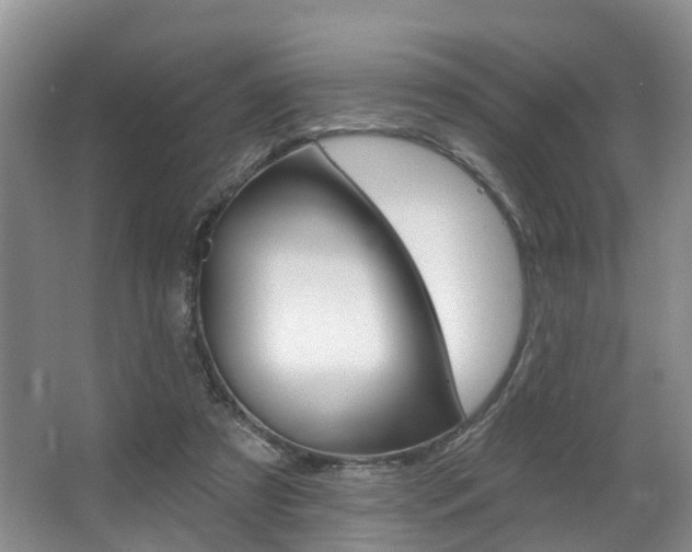 X0000063530305200601201159