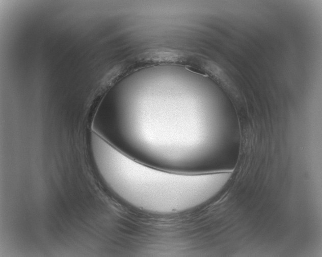 X0000063530309200601201158