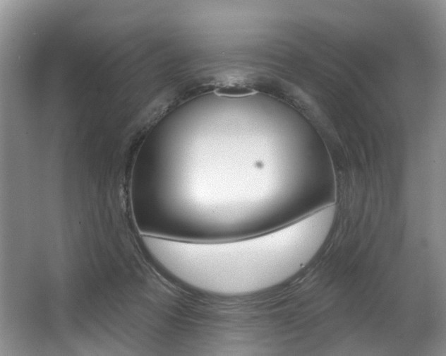 X0000063530313200601201158
