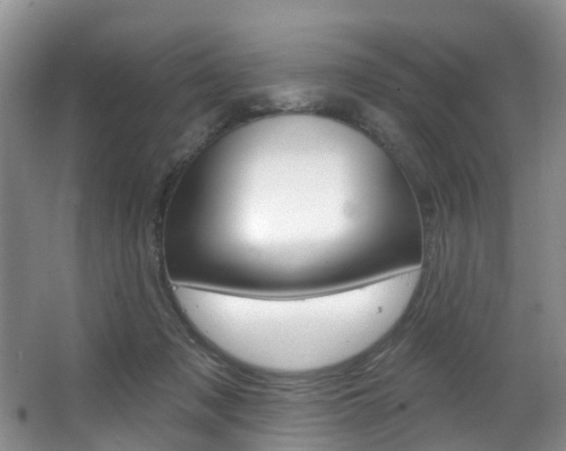 X0000063530317200601201158