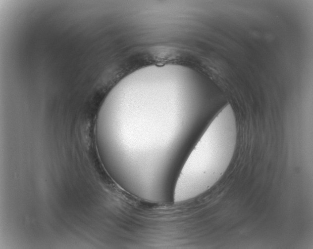 X0000063530319200601201158