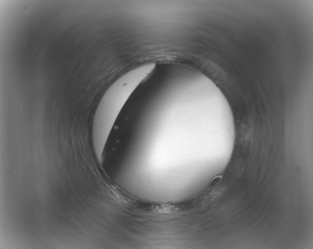 X0000063530321200601201158