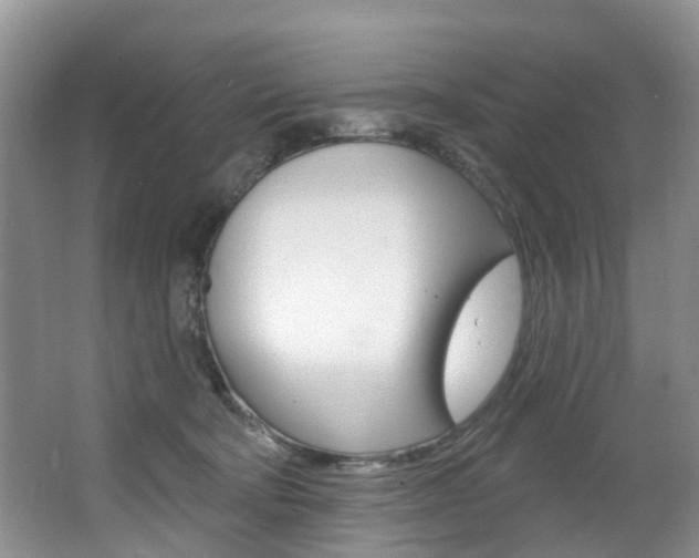 X0000063530322200601201158