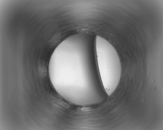 X0000063530324200601201158