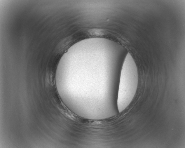 X0000063530330200601201158