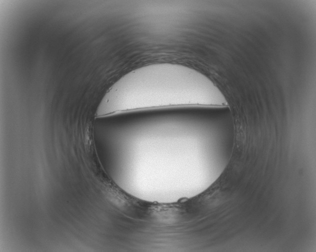 X0000063530331200601201158