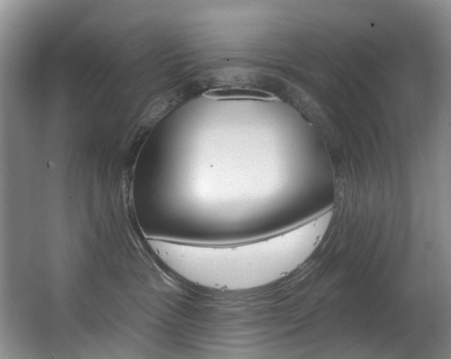 X0000063530333200601201158