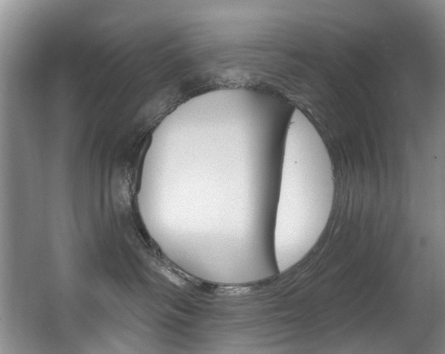 X0000063530334200601201158