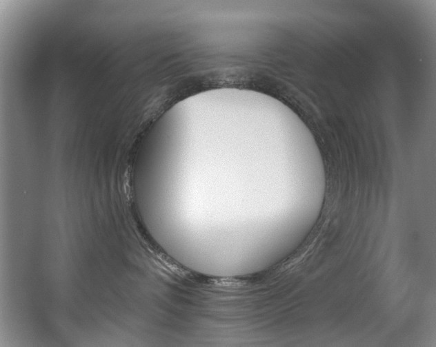 X0000063530336200601201158