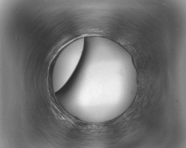 X0000063530338200601201157