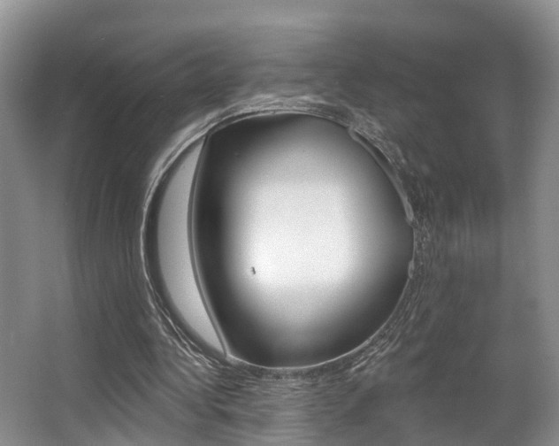 X0000063530340200601201157