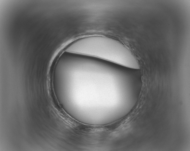 X0000063530342200601201157