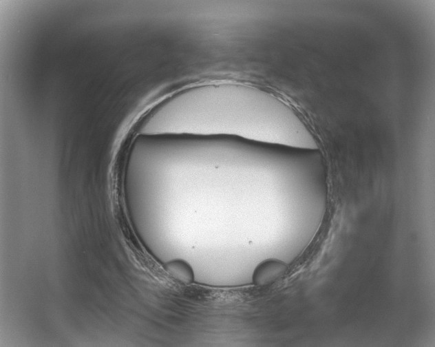 X0000063530343200601201157