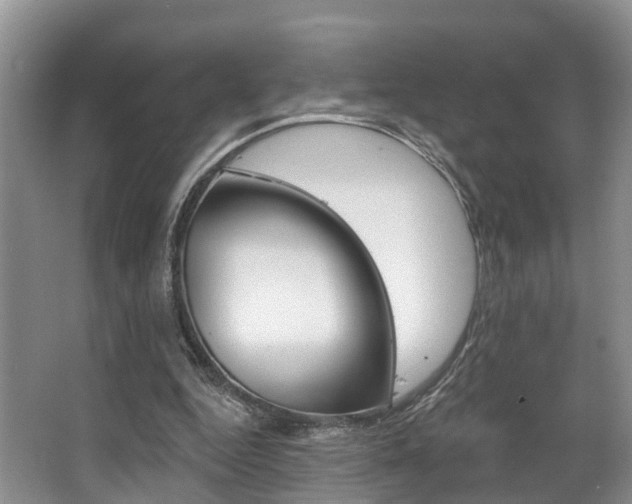 X0000063530344200601201157
