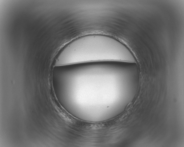 X0000063530345200601201157