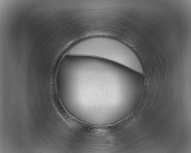 X0000063530352200601201157
