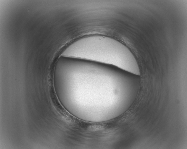 X0000063530354200601201157