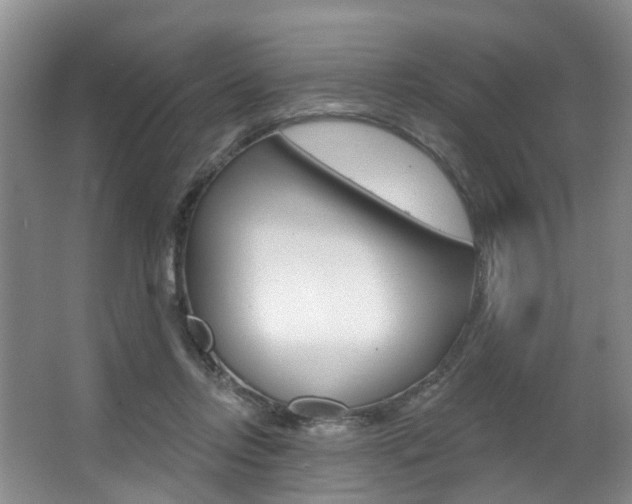 X0000063530358200601201158