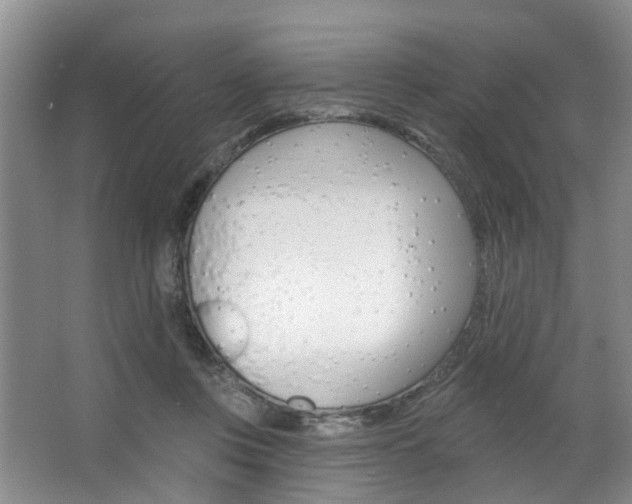 X0000063530359200601201158