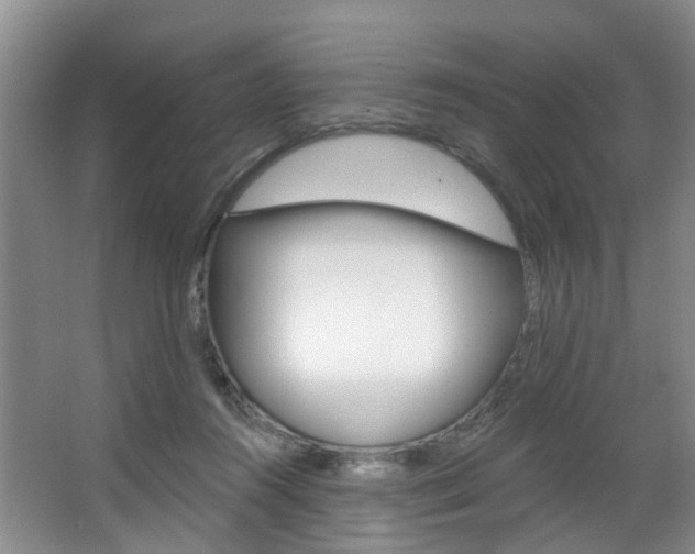 X0000063530360200601201158