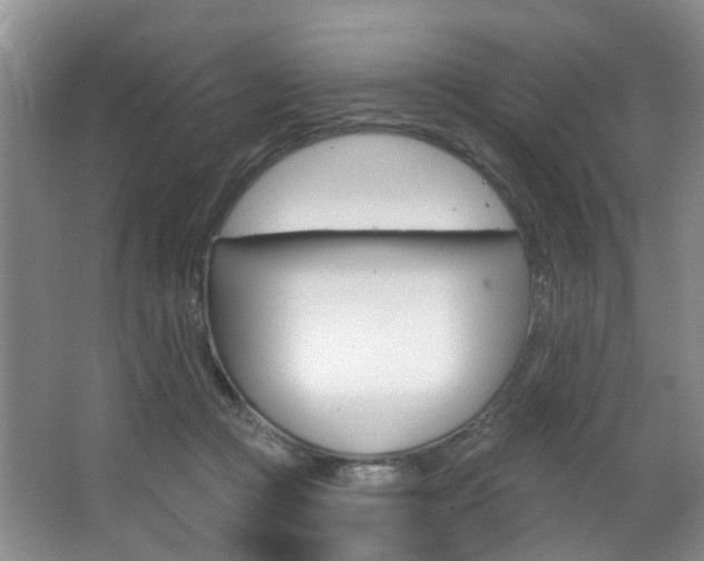 X0000063530361200601201158