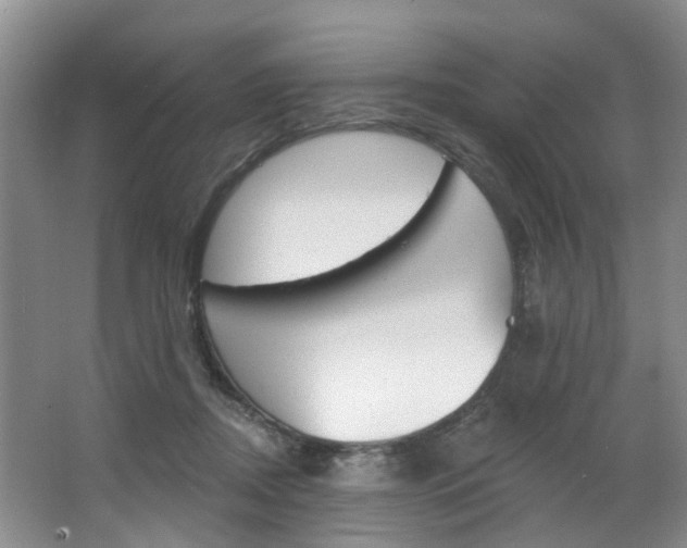 X0000063530362200601201158