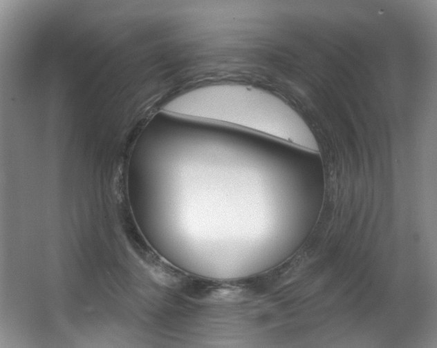 X0000063530364200601201158