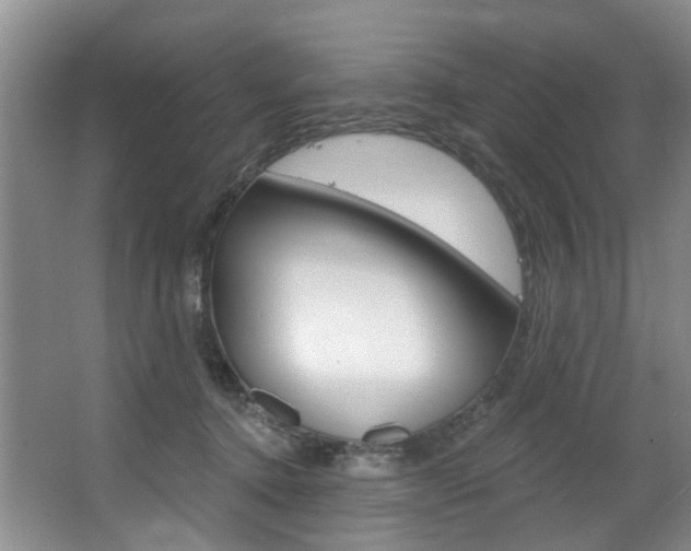 X0000063530368200601201158