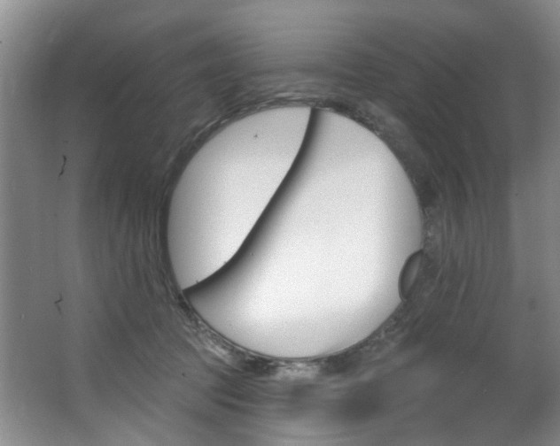 X0000063530369200601201158