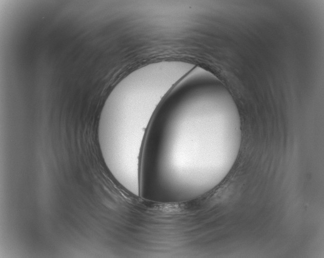 X0000063530384200601201158