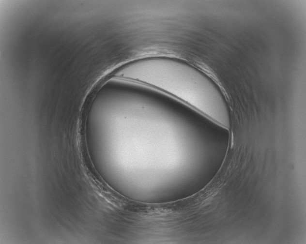 X0000063530387200601201157