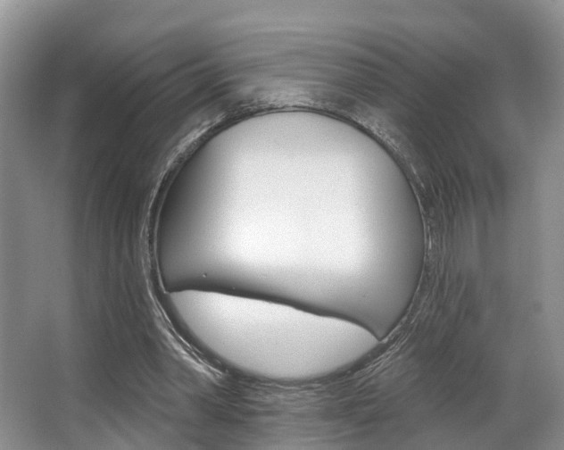 X0000063530390200601201157