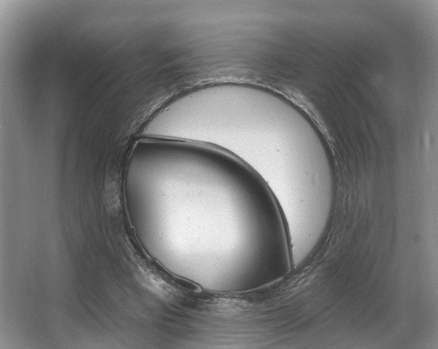 X0000063530393200601201157