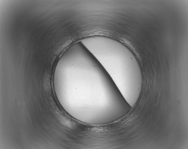 X0000063530394200601201157