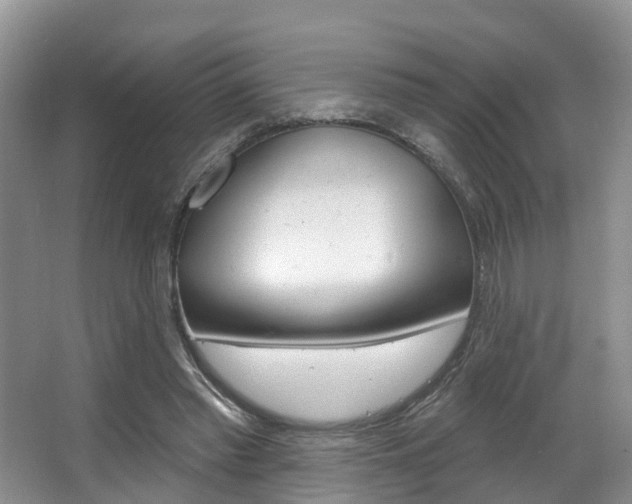 X0000063530397200601201157