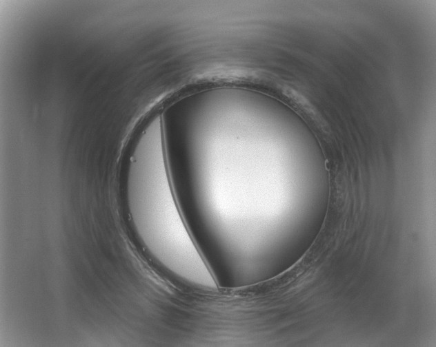 X0000063530399200601201157