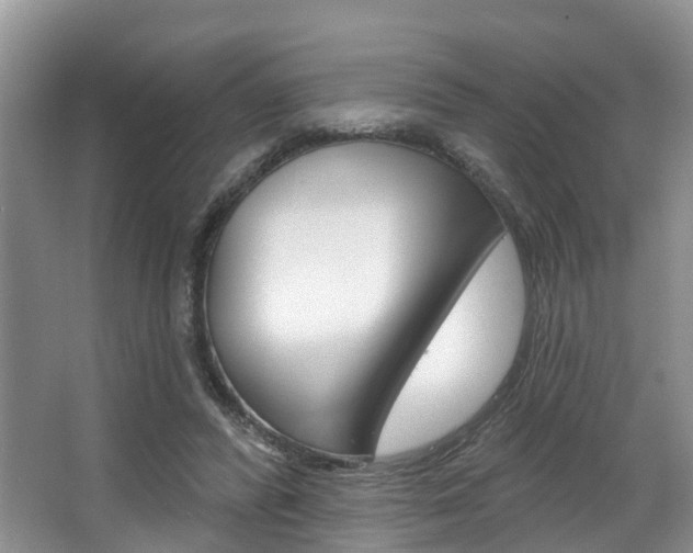 X0000063530400200601201157