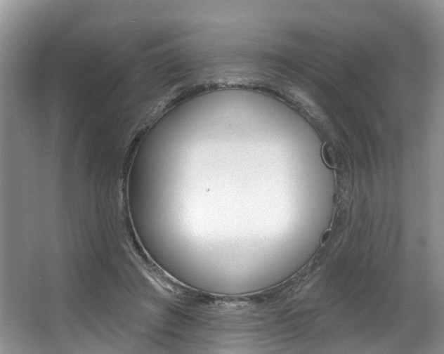 X0000063530401200601201157