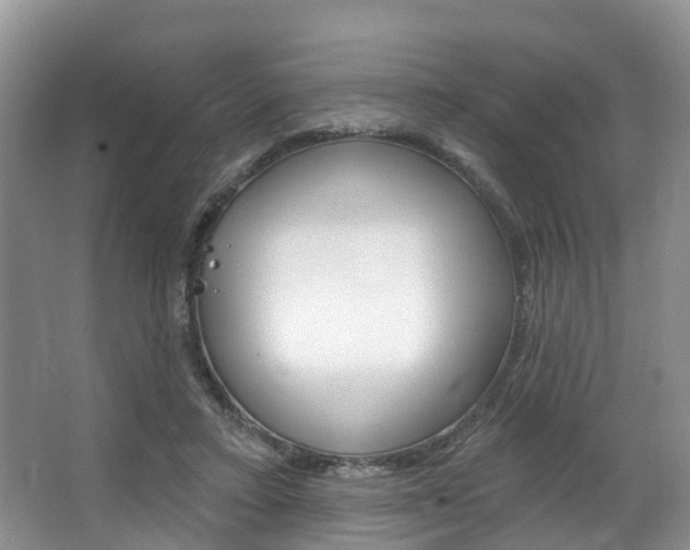 X0000063530403200601201157