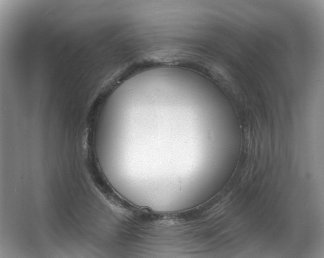 X0000063530404200601201157