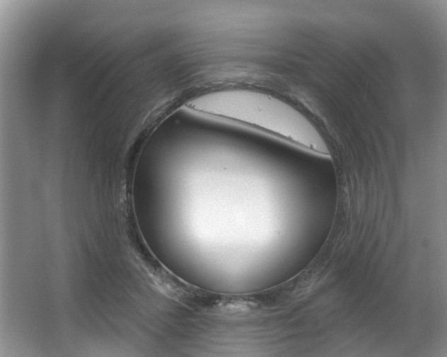 X0000063530407200601201157