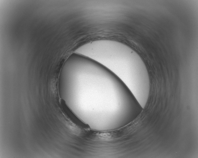 X0000063530409200601201157