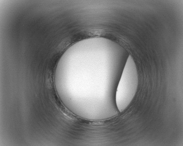 X0000063530414200601201157