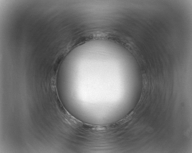 X0000063530419200601201157