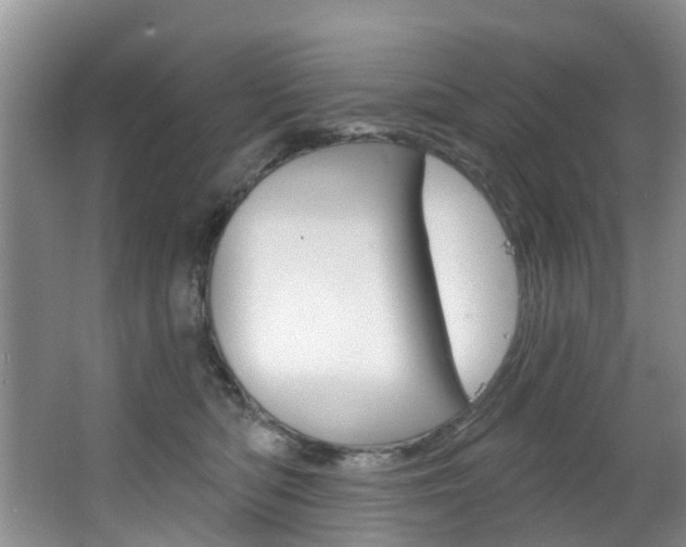 X0000063530422200601201157