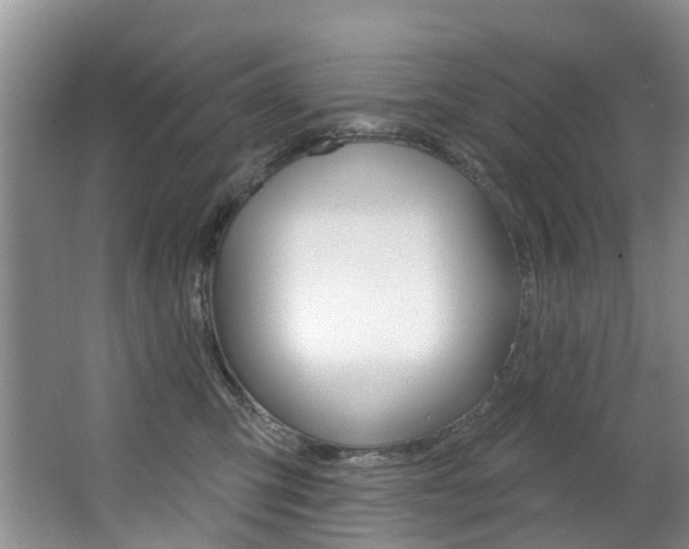 X0000063530423200601201156